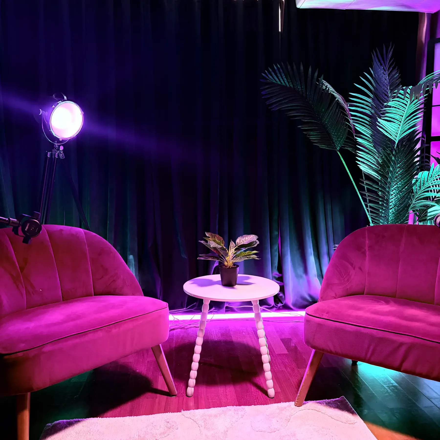 Studio Aurora : fauteuils velours, plantes et néons violet et cyan
