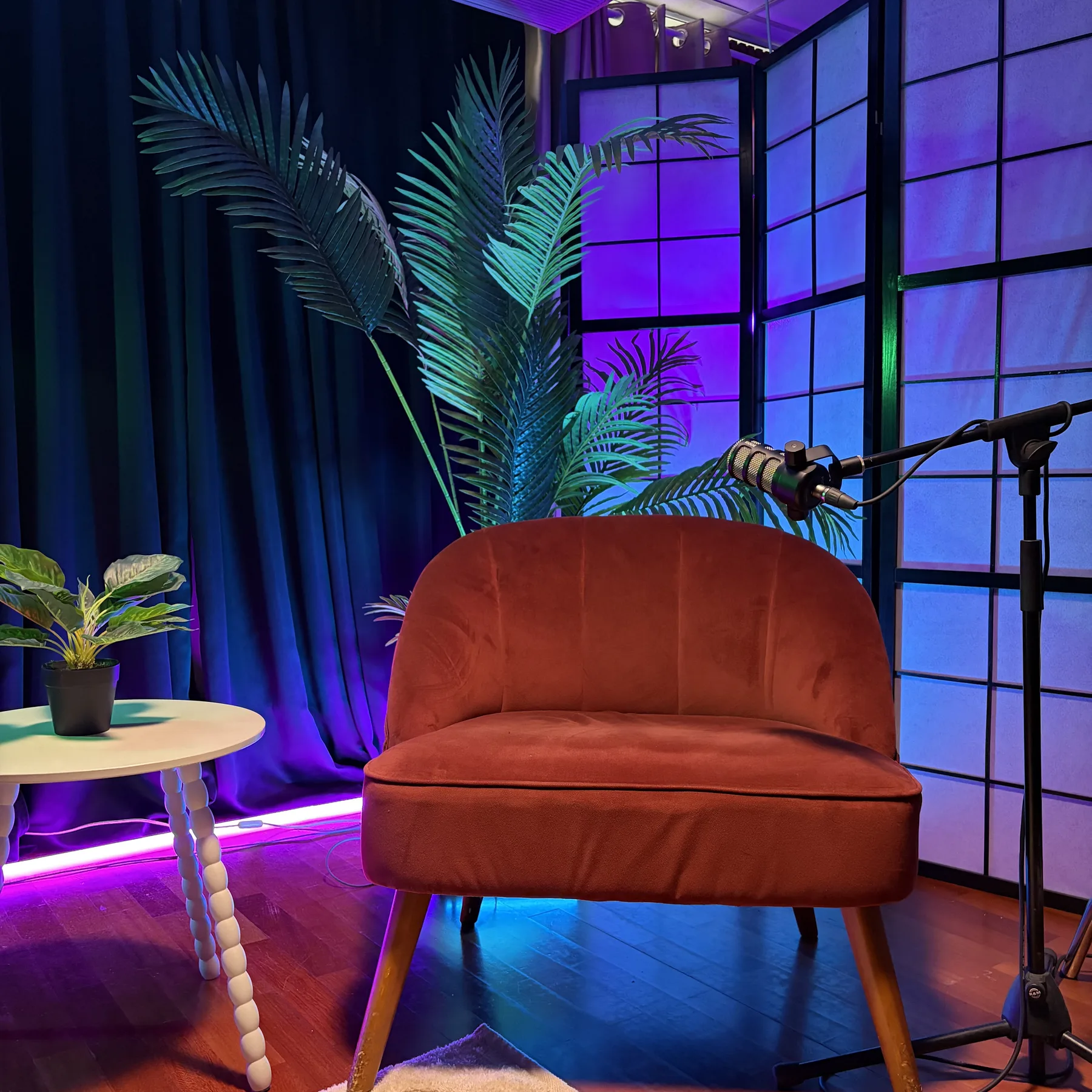 Studio Aurora, fauteuil solo devant les panneaux lumineux